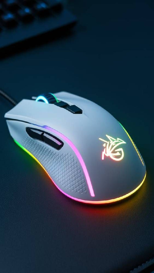 mouse